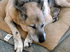 Lindsay > Dec 27, 2008: Tucker-ed out