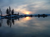 shihtzus > Lake Tahoe photo