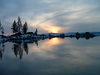 shihtzus > Lake Tahoe photo