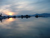 shihtzus > Lake Tahoe photo