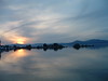 shihtzus > Lake Tahoe photo