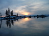 shihtzus > Lake Tahoe photo